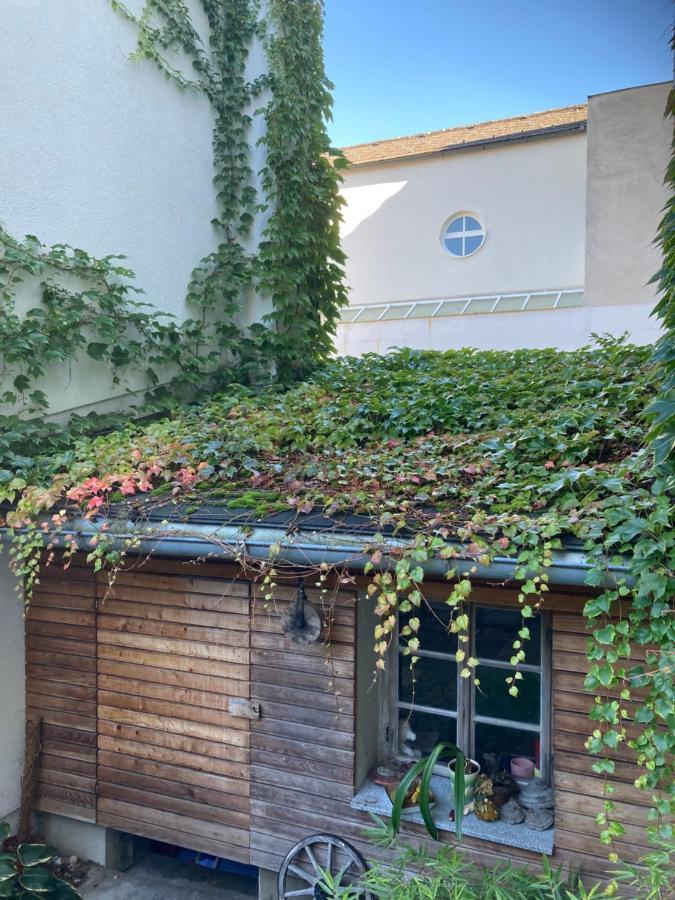 Pension Sunnseitn - Gasthof - Cafe - Weinkeller Haslach an der Mühl 외부 사진