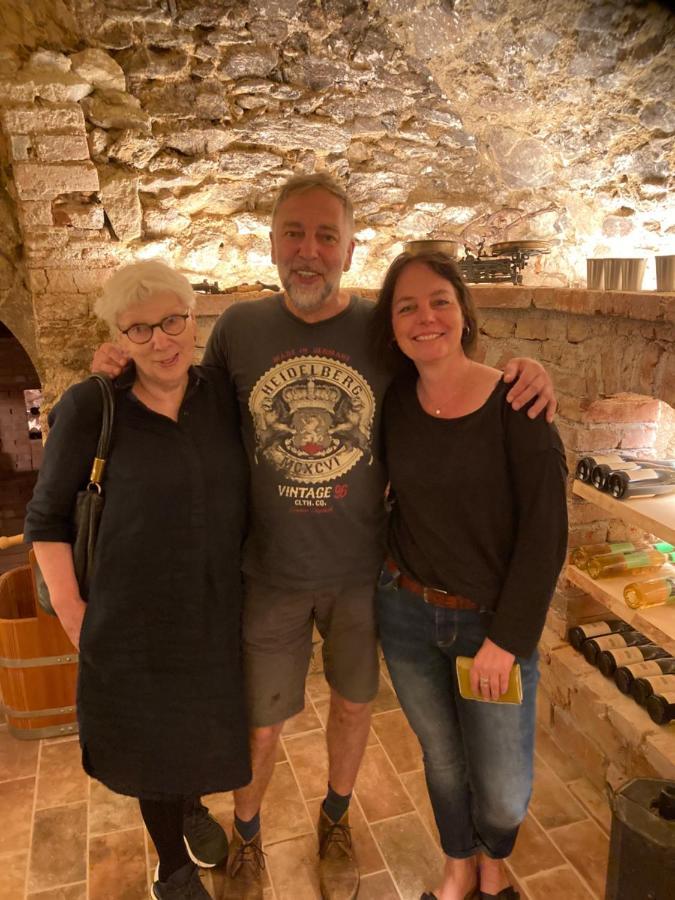 Pension Sunnseitn - Gasthof - Cafe - Weinkeller Haslach an der Mühl 외부 사진