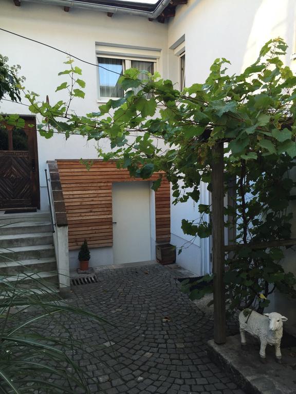 Pension Sunnseitn - Gasthof - Cafe - Weinkeller Haslach an der Mühl 외부 사진