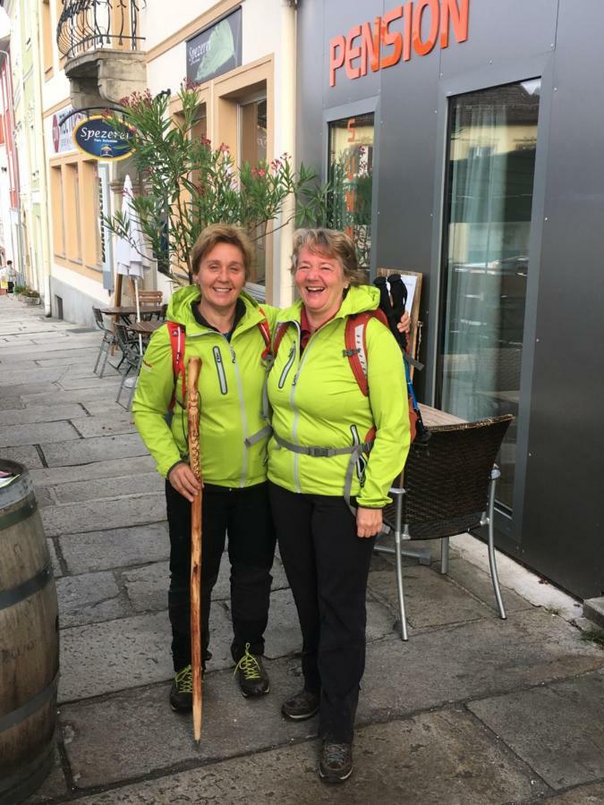 Pension Sunnseitn - Gasthof - Cafe - Weinkeller Haslach an der Mühl 외부 사진